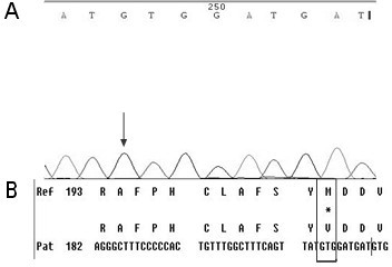 A kit for detecting drug-resistant mutations of hepatitis B virus