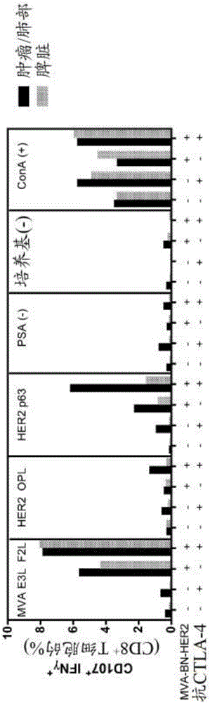 Combination therapy for treating cancer with a recombinant poxvirus expressing a tumor antigen and an immune checkpoint molecule antagonist or agonist