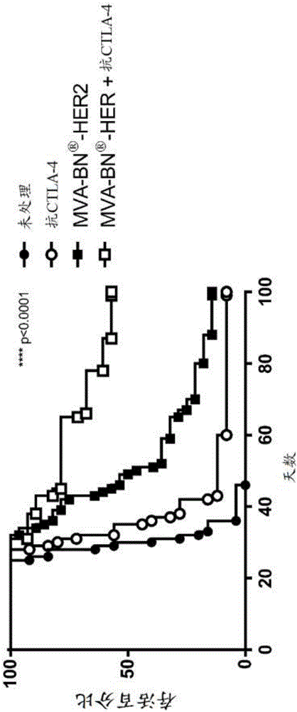 Combination therapy for treating cancer with a recombinant poxvirus expressing a tumor antigen and an immune checkpoint molecule antagonist or agonist