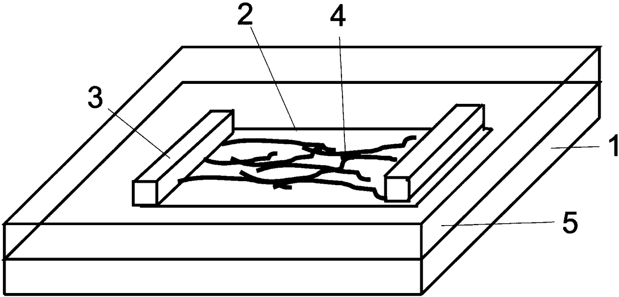 A kind of perovskite thin film phototransistor and preparation method thereof