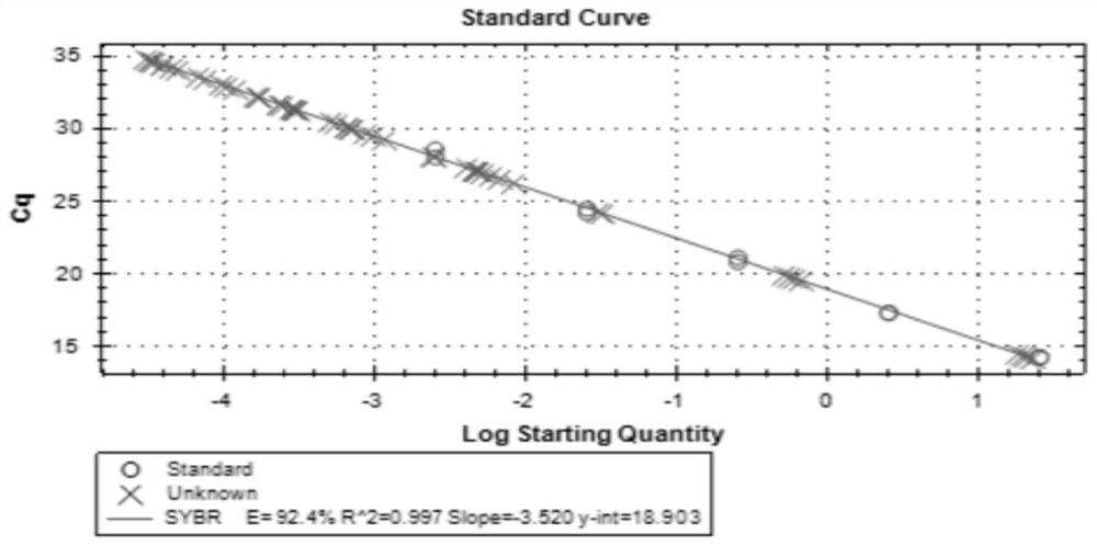 Method for detecting directional distribution of human mesenchymal stem cells in animal body