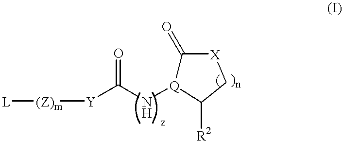 Immunogenic conjugates of Gram-negative bacterial autoinducer molecules