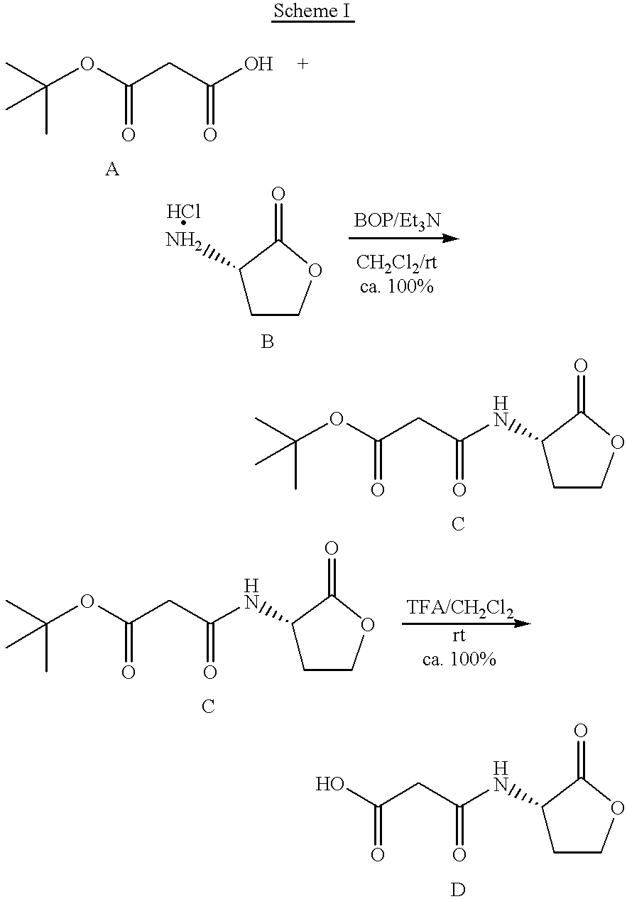 Immunogenic conjugates of Gram-negative bacterial autoinducer molecules