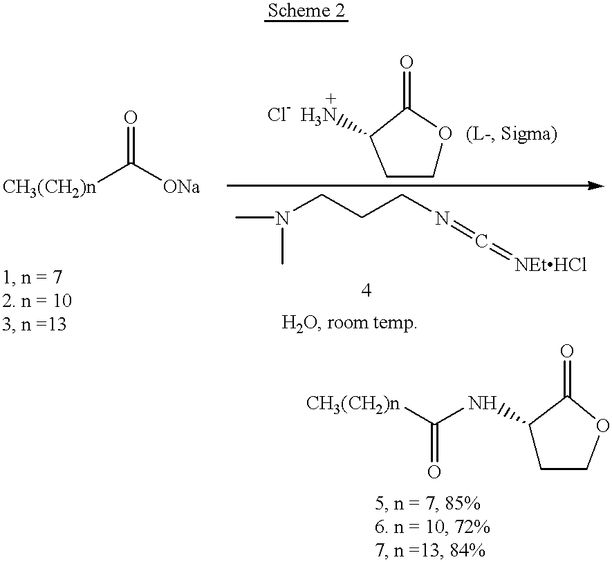 Immunogenic conjugates of Gram-negative bacterial autoinducer molecules