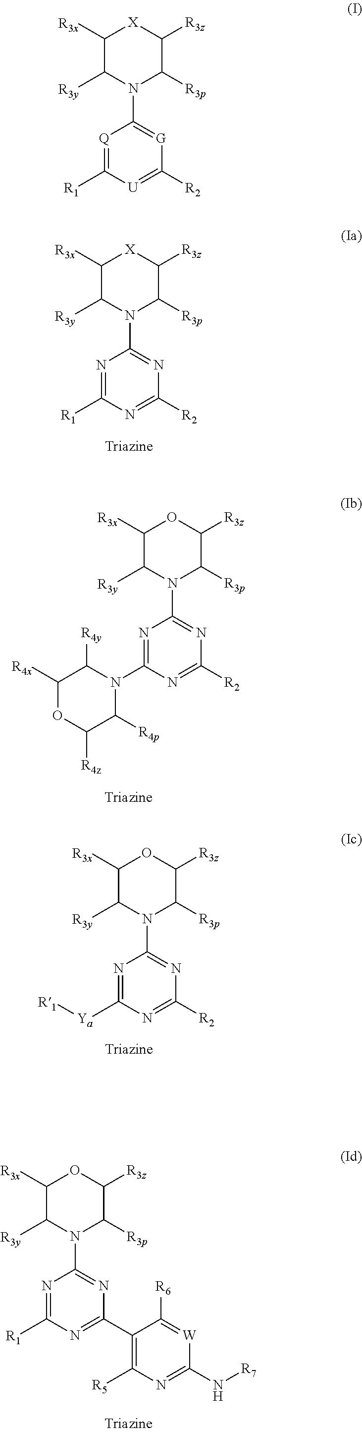 Triazine, pyrimidine and pyridine analogs and their use as therapeutic agents and diagnostic probes