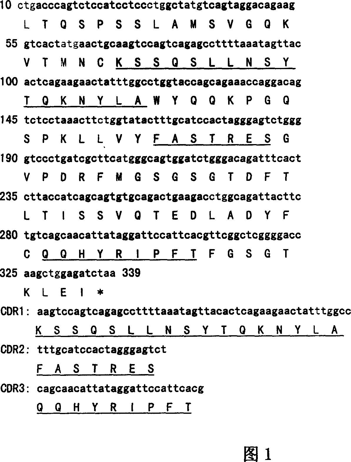 Variable region gene of high affinity monoclonal antibody of tumor necrosis factor and its preparation