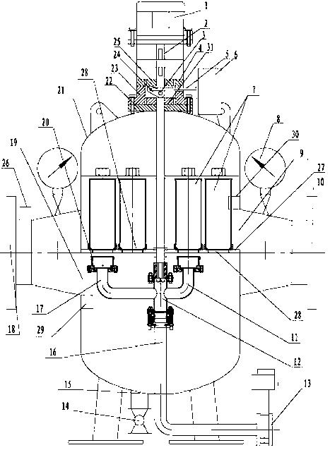 Multi-filter cylinder automatic backwashing filter apparatus