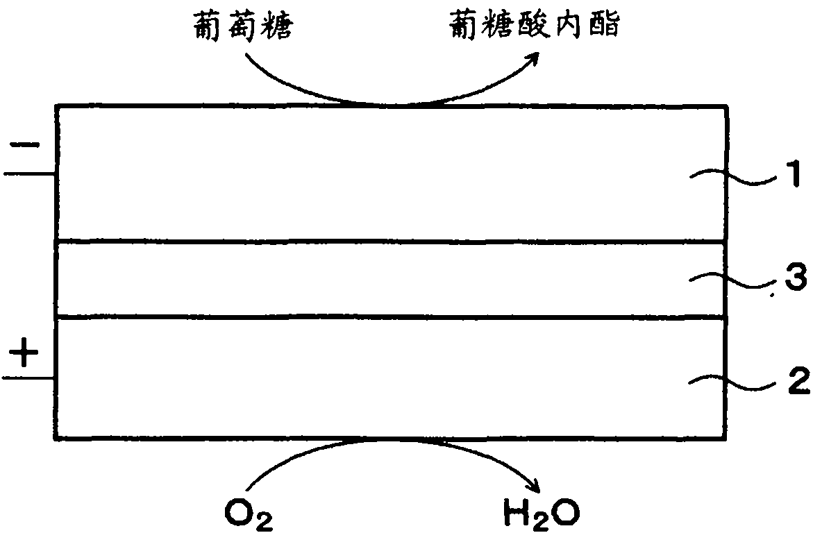 Fuel cell, method of manufacturing same, electronic device, immobilized-enzyme electrode, method of manufacturing same, water repellent agent, and enzyme immobilization material