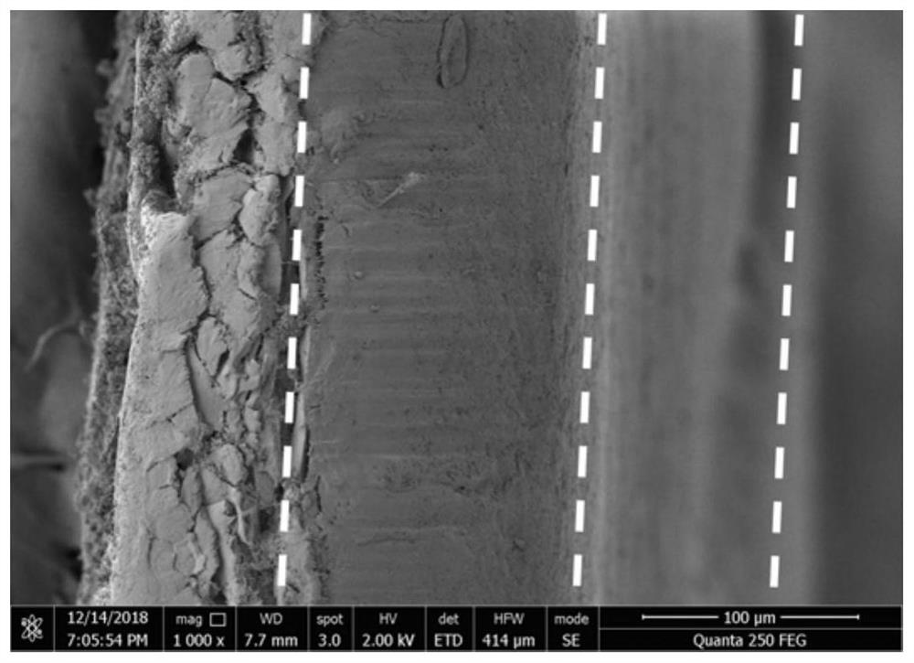 A kind of multifunctional hybrid ultrafiltration membrane, preparation method and application