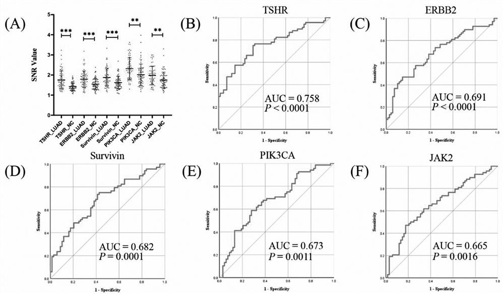 Joint detection serum marker for early diagnosis of lung adenocarcinoma and application of joint detection serum marker