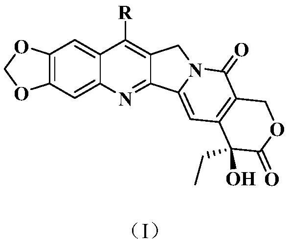 Camptothecin derivatives and preparation method and application thereof