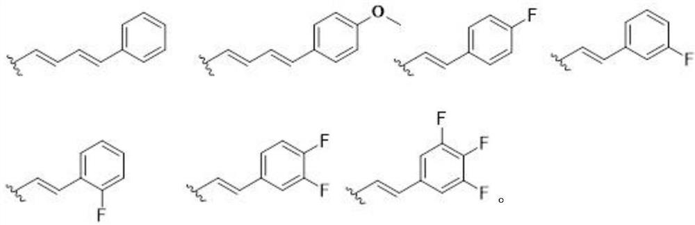 Camptothecin derivatives and preparation method and application thereof