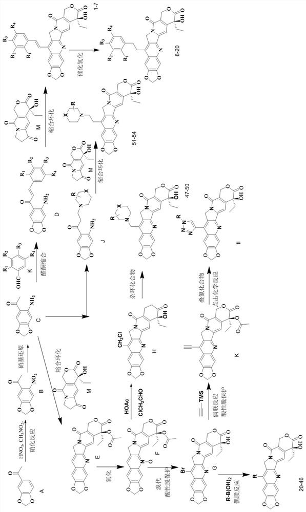 Camptothecin derivatives and preparation method and application thereof