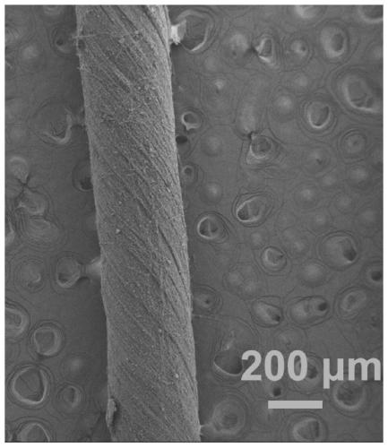 Preparation method of wearable friction generator based on flexible PU/PVDF composite nanofiber yarn