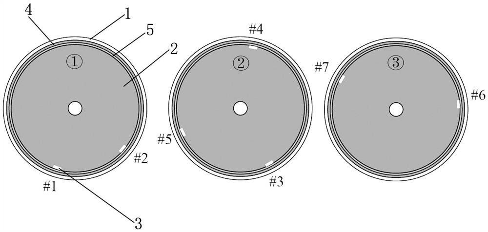 Solid engine grain health monitoring and life evaluation method