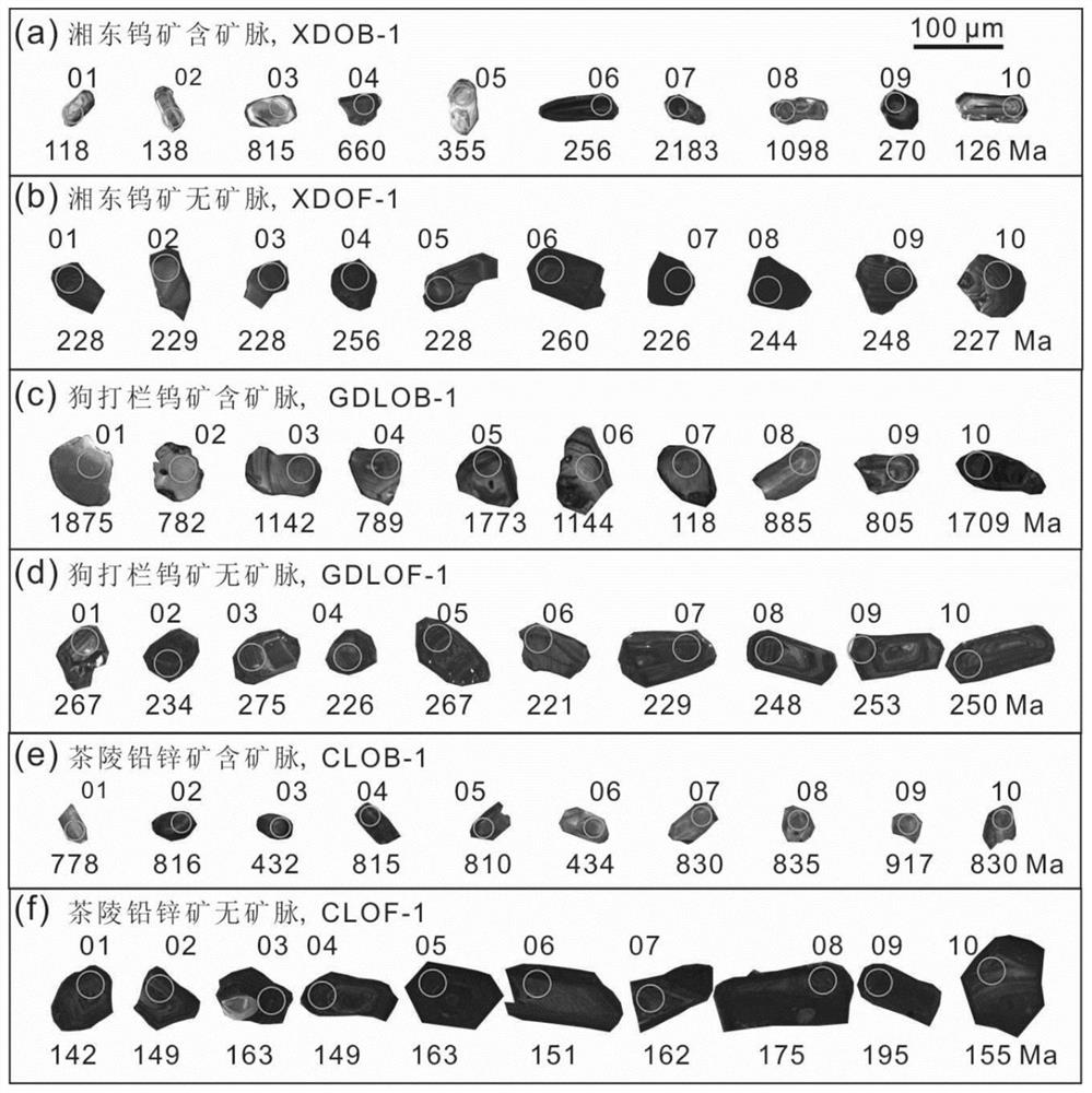 A Mineral Exploration Method Using Zircon to Rapidly Determine the Ore-forming Potential of Vein Deposits