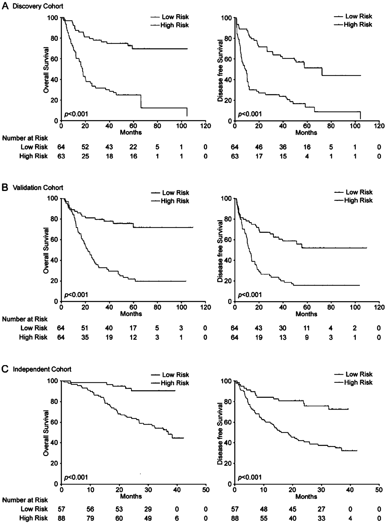 4-LncRNA molecular tag kit for prognosis evaluation of liver cancer