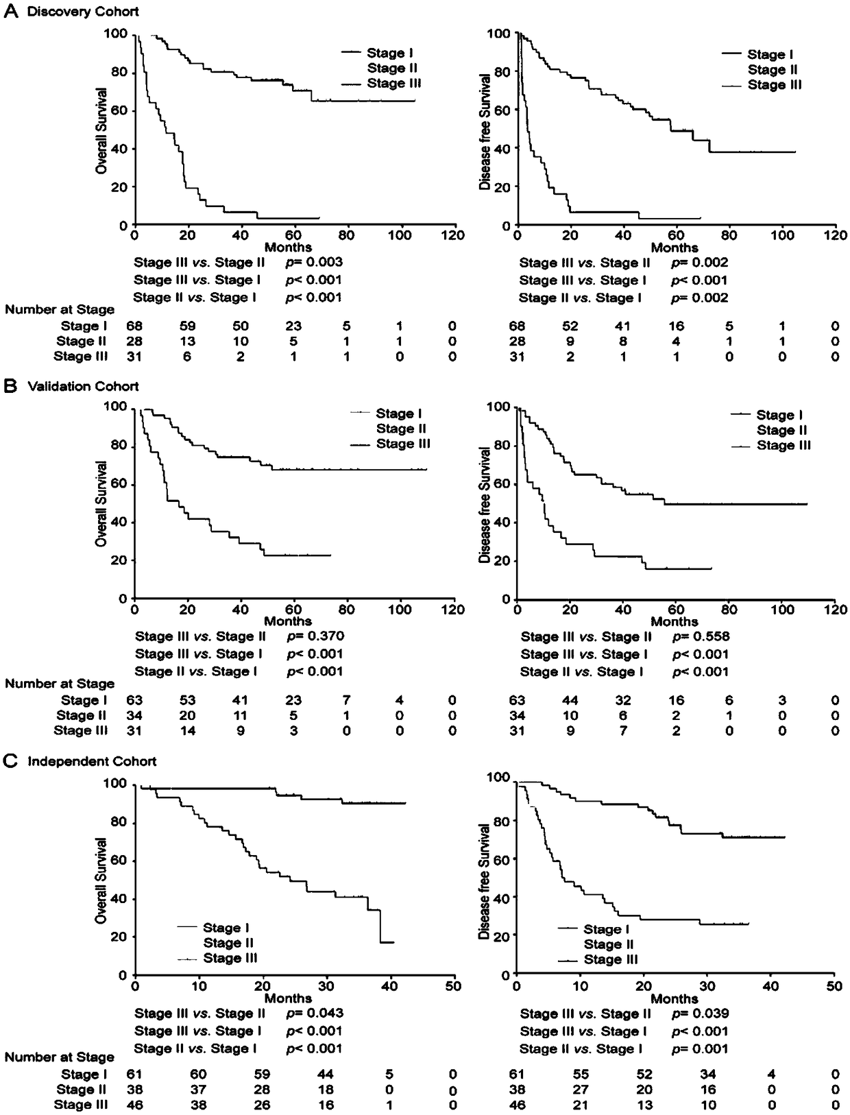 4-LncRNA molecular tag kit for prognosis evaluation of liver cancer