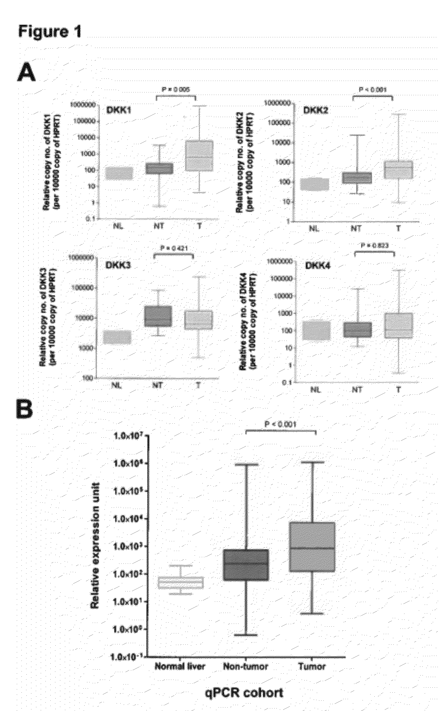 Use of Anti-DKK-1 Monoclonal Antibodies for the Treatment of Liver Cancer