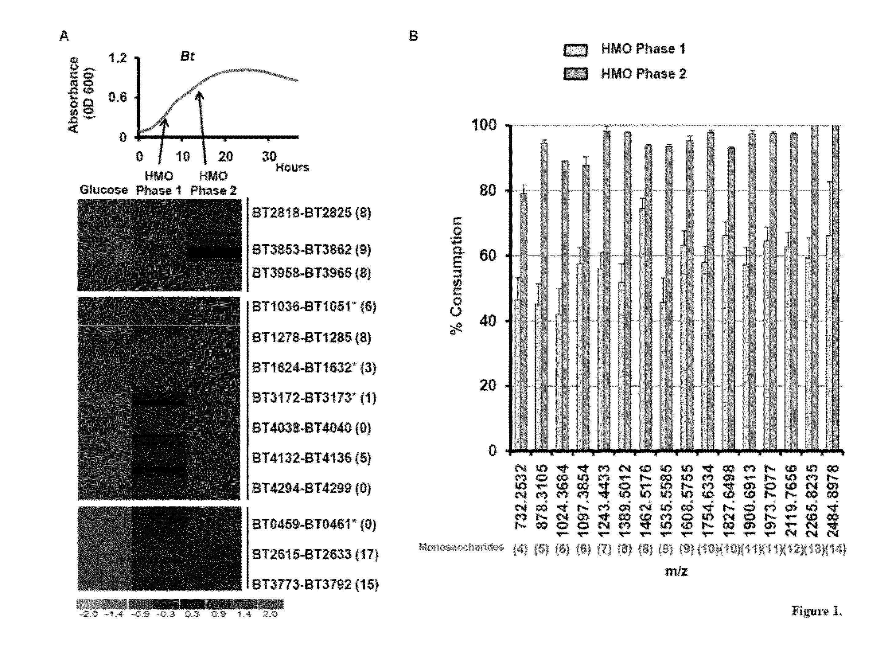 Therapeutic use of mucin glycans