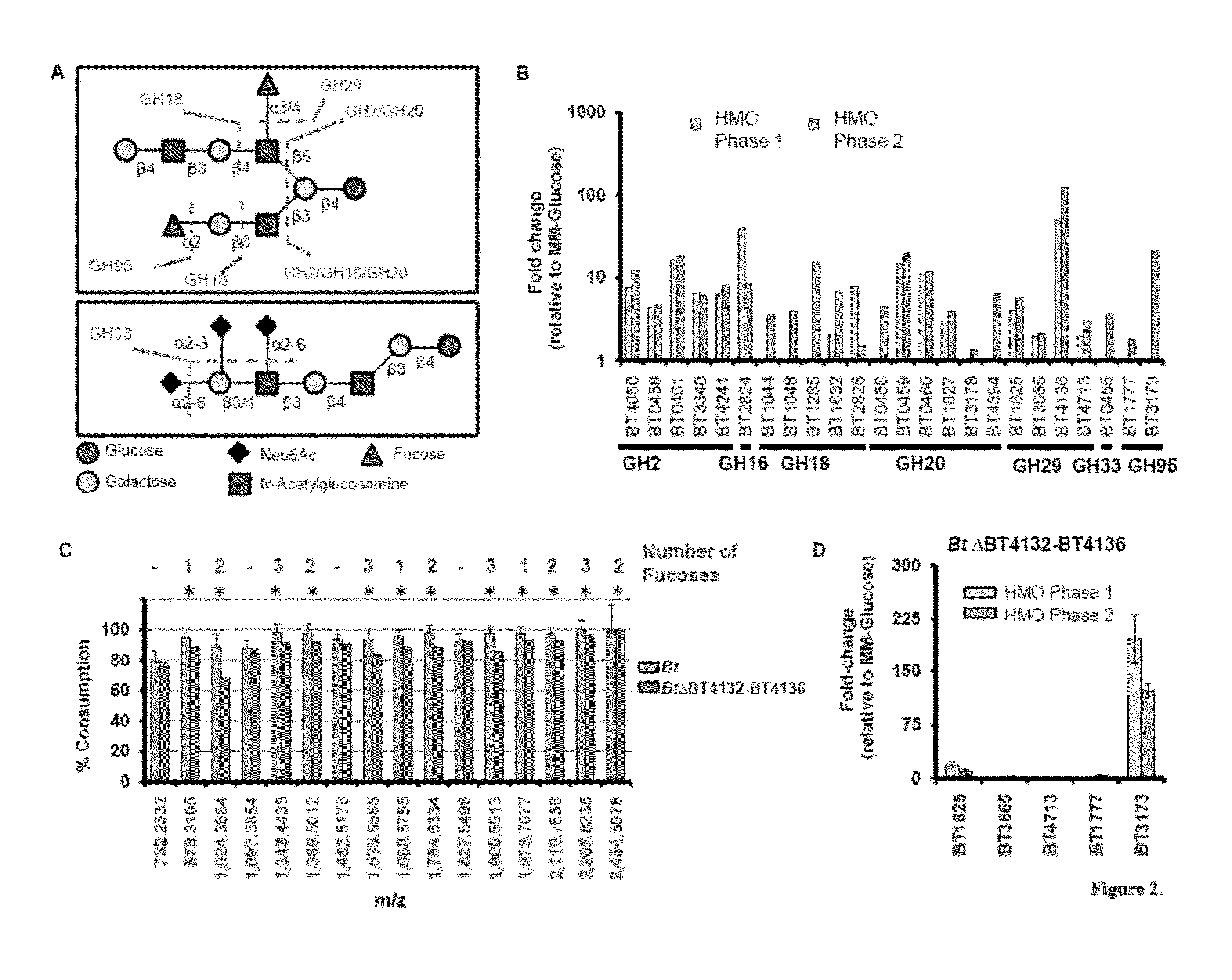 Therapeutic use of mucin glycans