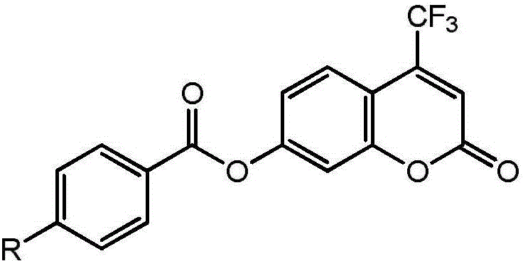 High-specificity fluorescent probe for human carboxylesterase hCE2 and application thereof