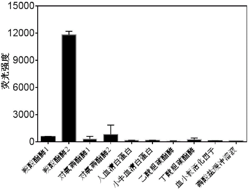 High-specificity fluorescent probe for human carboxylesterase hCE2 and application thereof