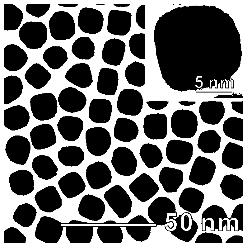 Platinum phosphide nano-catalyst, preparation method thereof and application of platinum phosphide nano-catalyst in electrocatalytic oxygen reduction