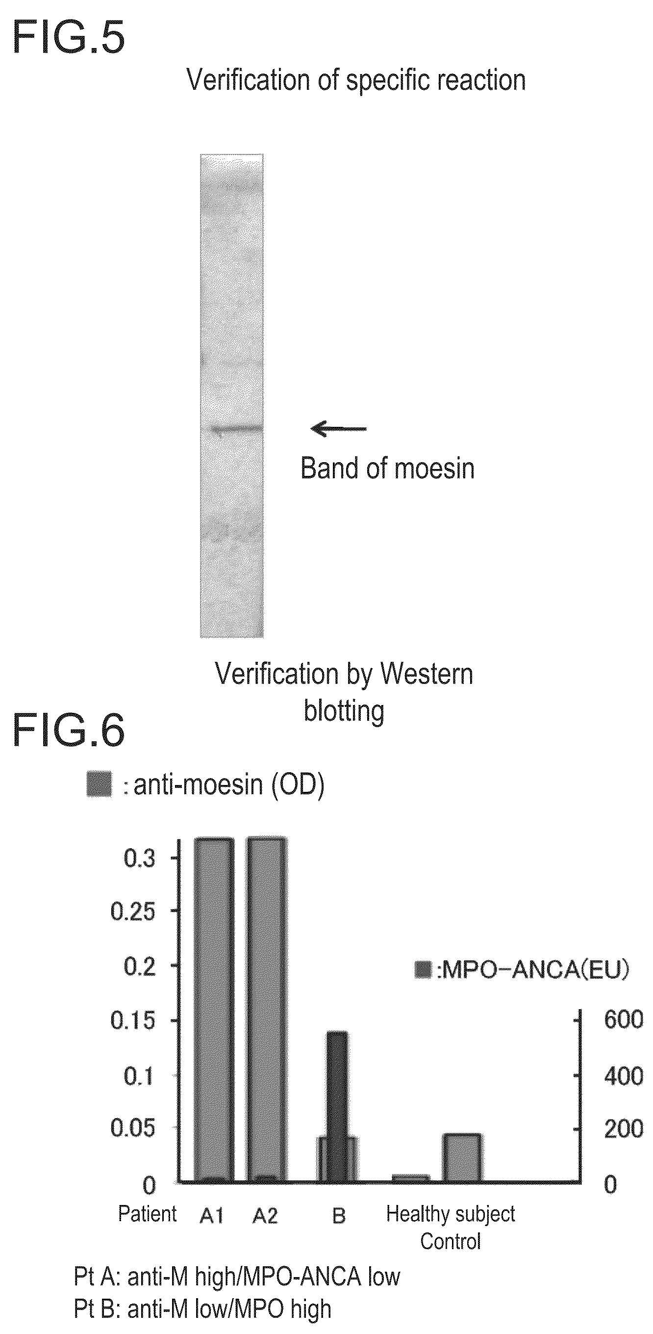 Testing method and testing reagent for angiitis