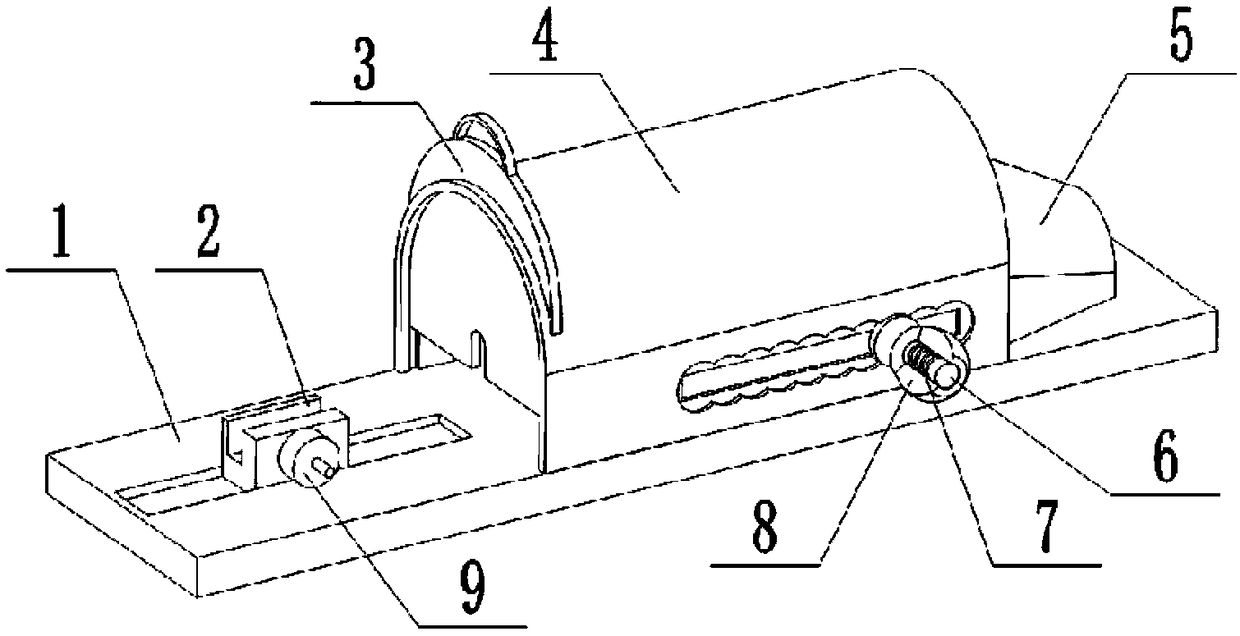 Adjustable fixator for mouse tail-vein injection