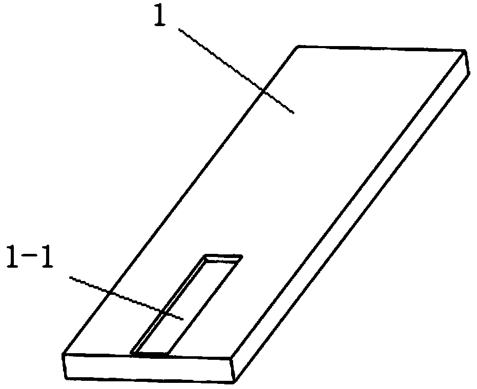 Adjustable fixator for mouse tail-vein injection