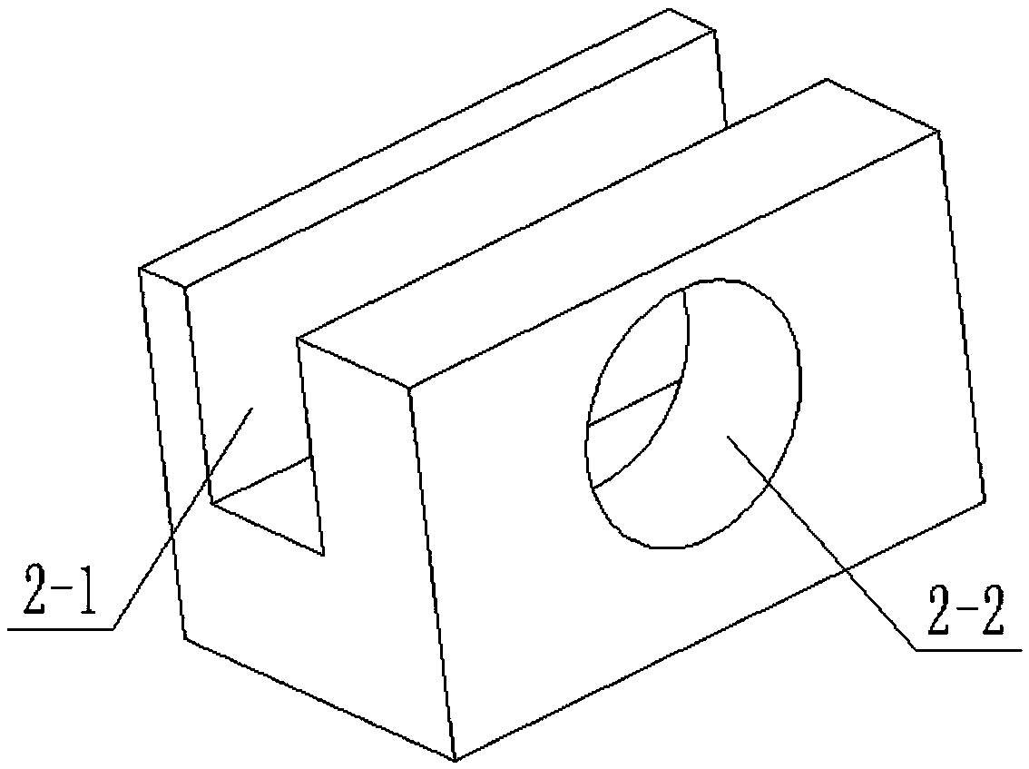 Adjustable fixator for mouse tail-vein injection