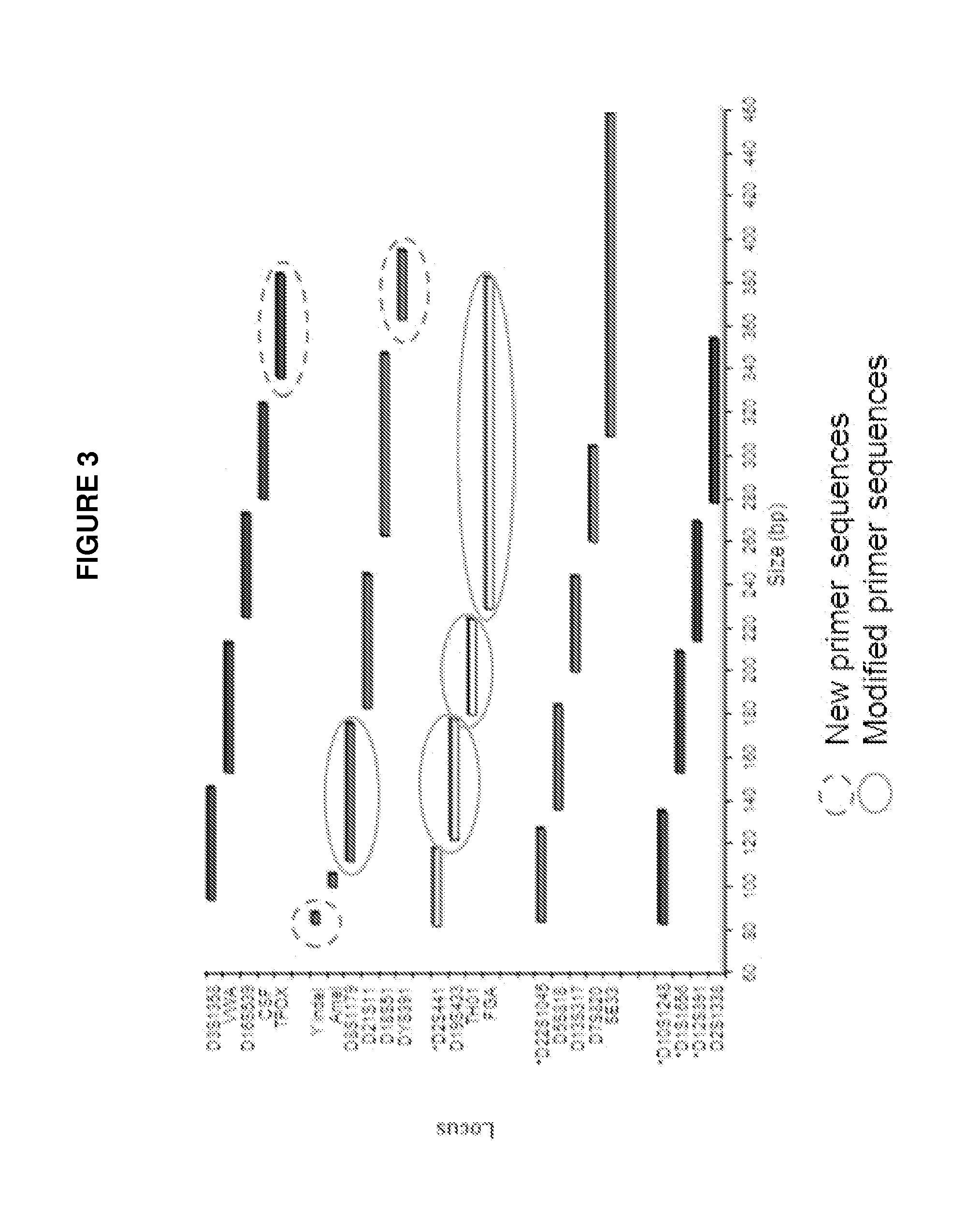 Methods and kits for multiplex amplification of short tandem repeat loci