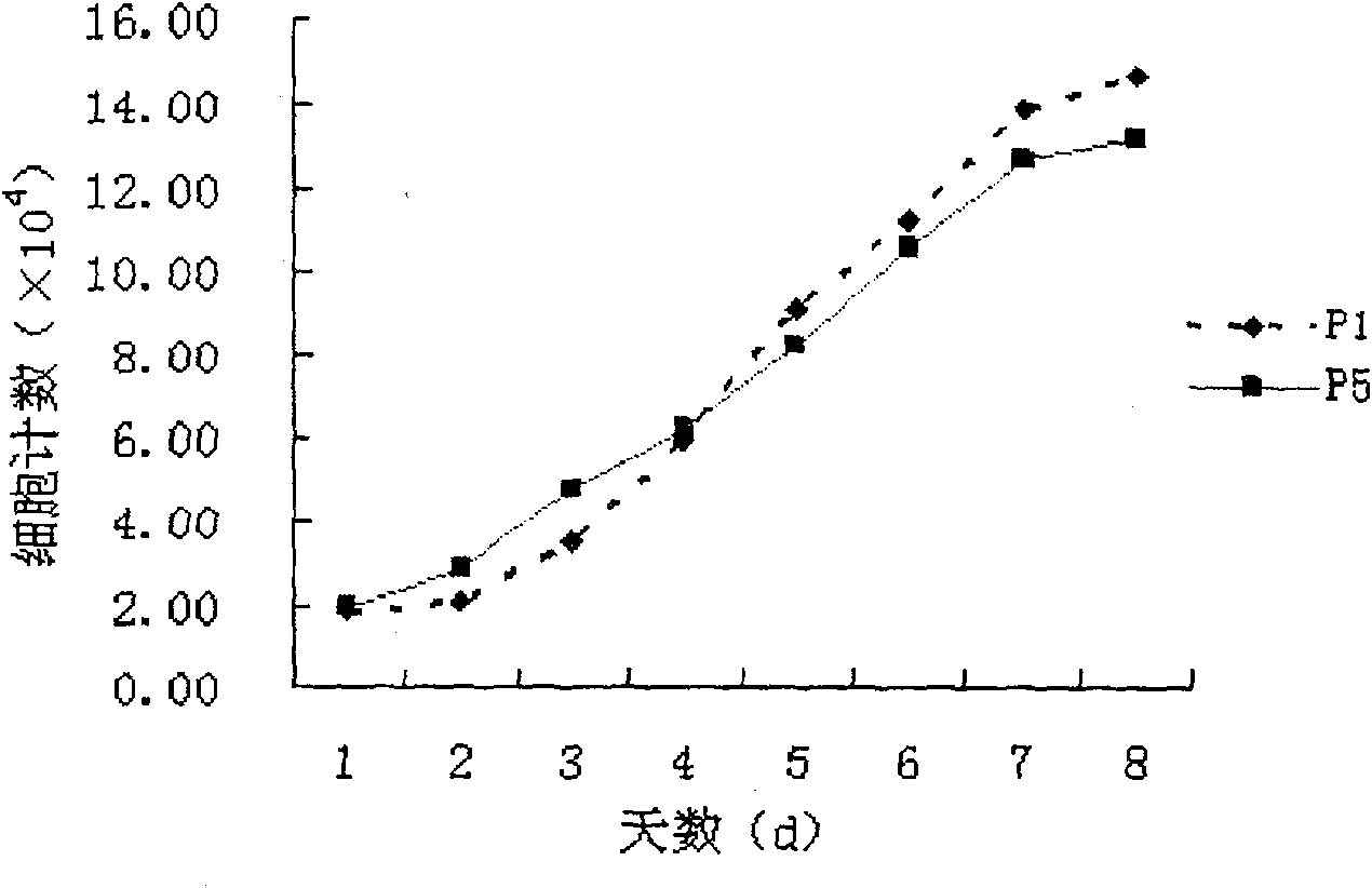 Method for sorting primary human marrow mesenchymal steam cell by monoclonal antibody ZUC3 immunomagnetic bead