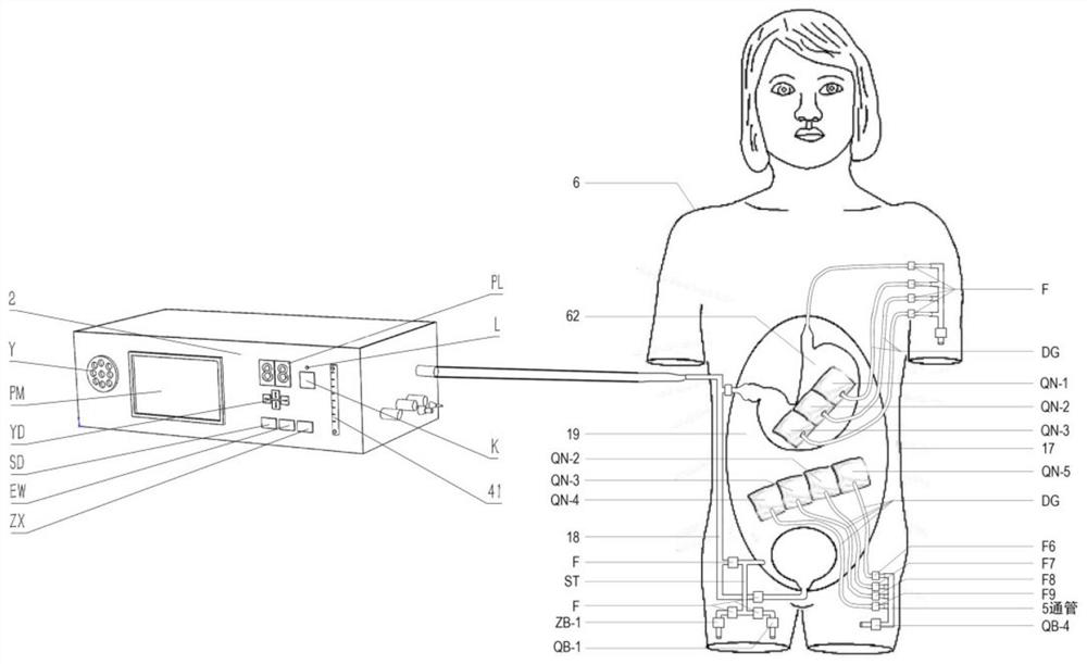 High-simulation intelligent full-automatic abdomen four-diagnosis training computer simulation person