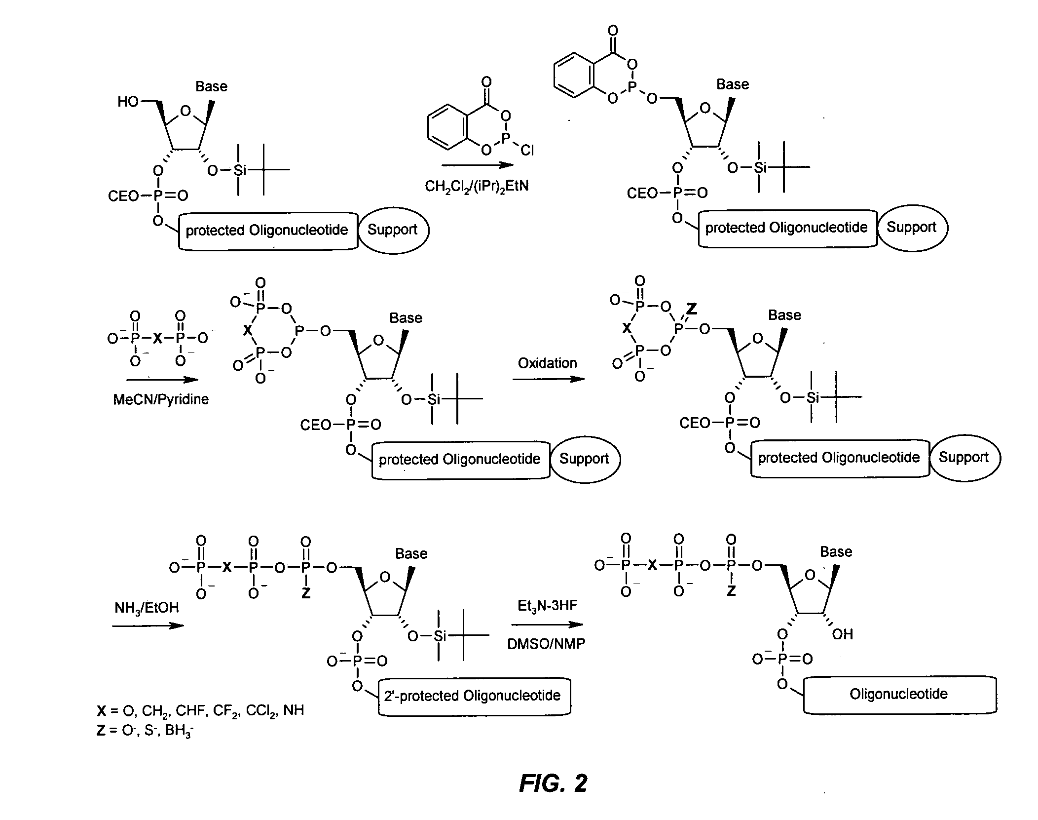 Immune Stimulatory Oligoribonucleotide Analogs Containing Modified Oligophosphate Moieties