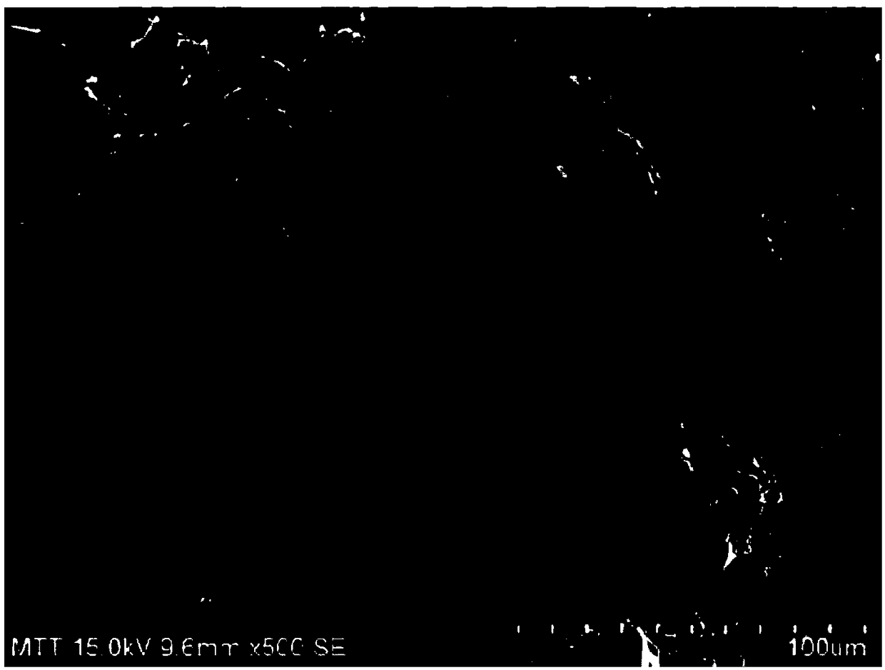 Preparation method of fly ash and chitosan composite particle adsorbing material