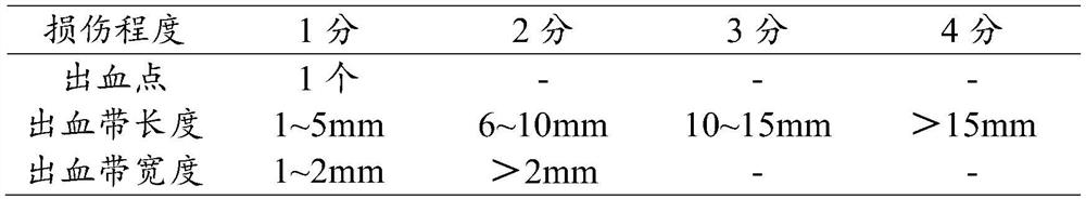 Composition with auxiliary protection function on gastric mucosal lesion and application thereof