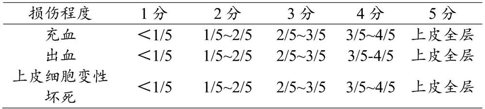 Composition with auxiliary protection function on gastric mucosal lesion and application thereof