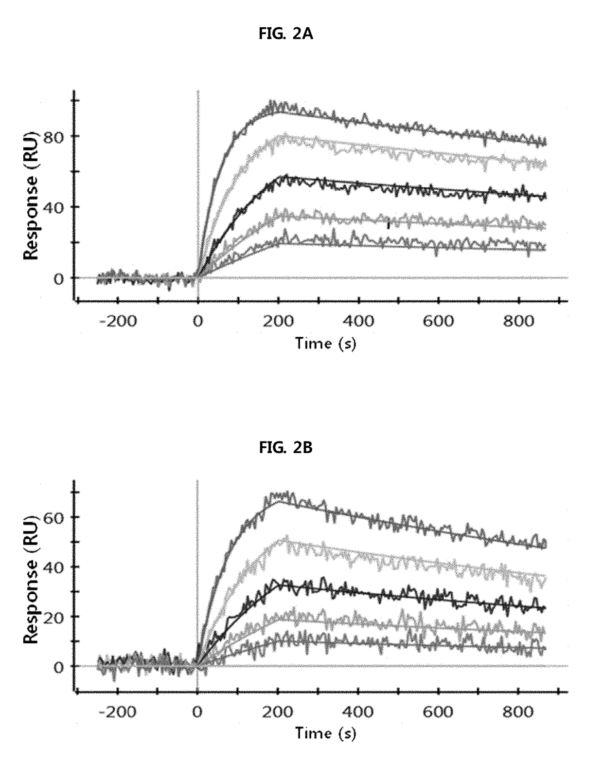 Antibody binding to fcrn for treating autoimmune diseases