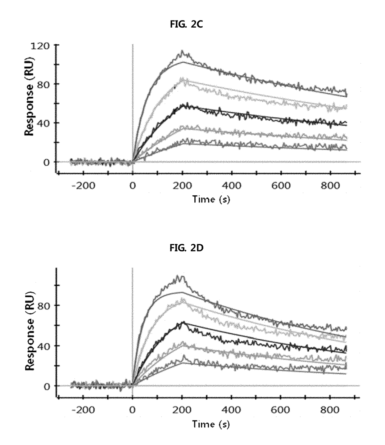 Antibody binding to fcrn for treating autoimmune diseases