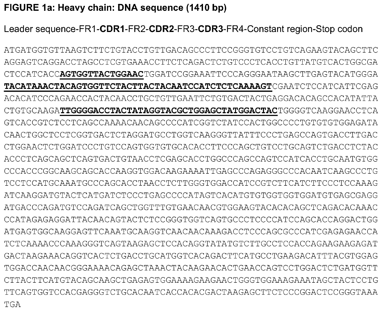 ANTI-HER3 Antibody and uses thereof