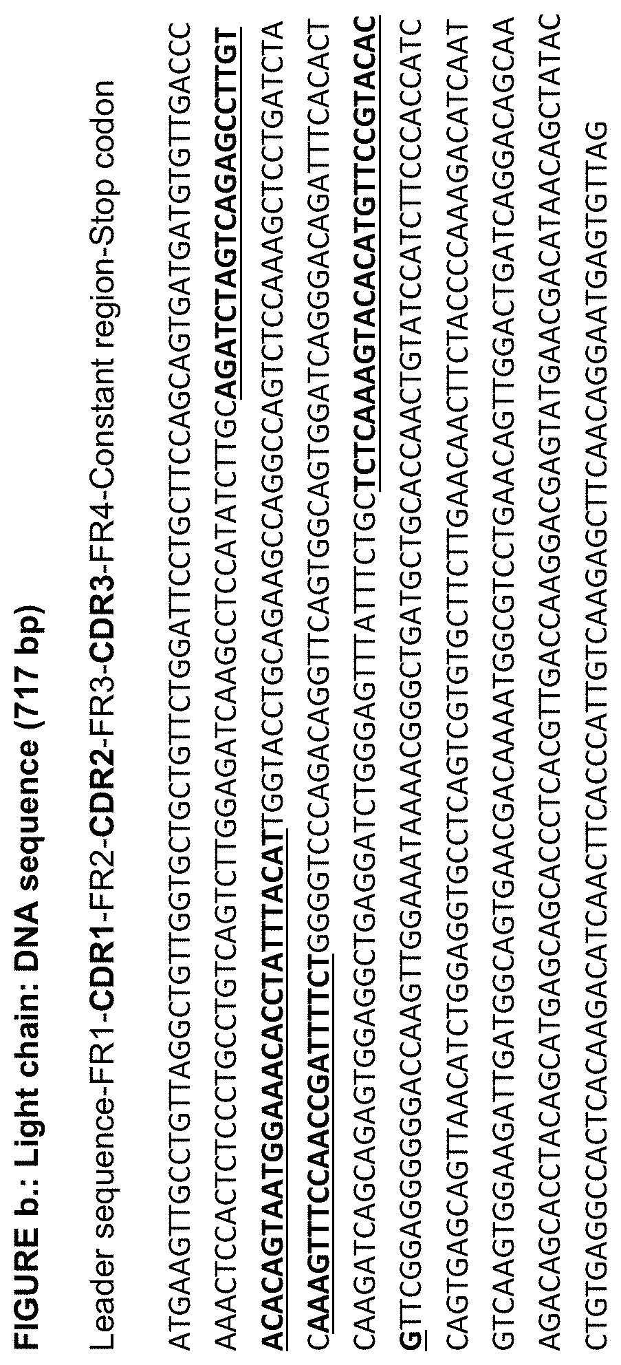 ANTI-HER3 Antibody and uses thereof