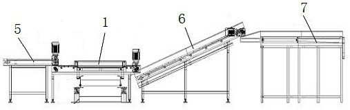 Tobacco leaf bundle head automatic arranging and aligning device