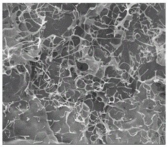 Preparation method of oxidized nano-cellulose/collagen composite sponge