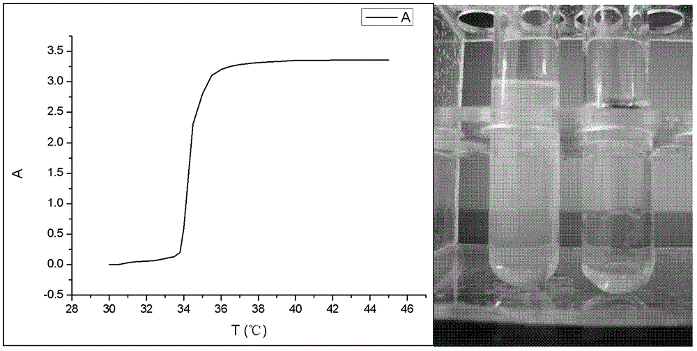 Dual-hydrophilic thermo-sensitive polymer/lactic acid polymer composite nanofiber felt and preparation method thereof