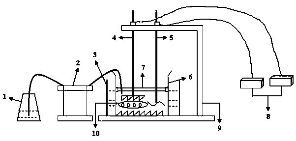 Device for simulating digestion in oral cavities and method for applying device