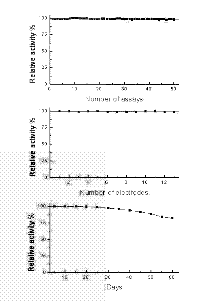 Preparation method of ascorbic acid oxidase electrochemical biosensing composite modified electrode