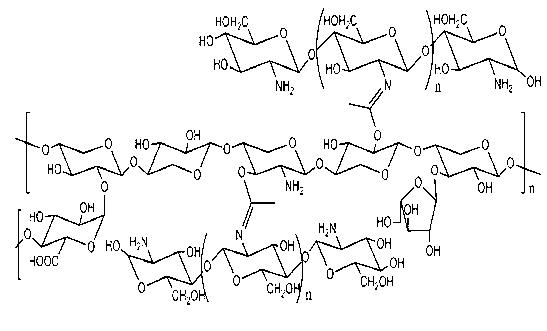 Preparation method and application of hemicellulose/chitosan/nano TiO2 hybrid material