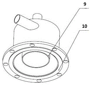 Device and method for rapidly separating sea buckthorn fruit seeds